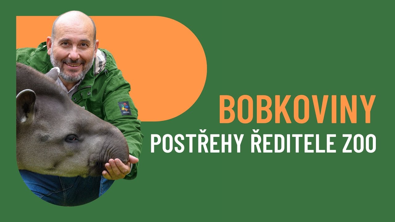 BOBKOVINY: O vombatech a vombatím chlapci