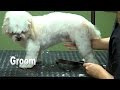 Grooming a Shih Tzu - Puppy Cut - (Trailer)