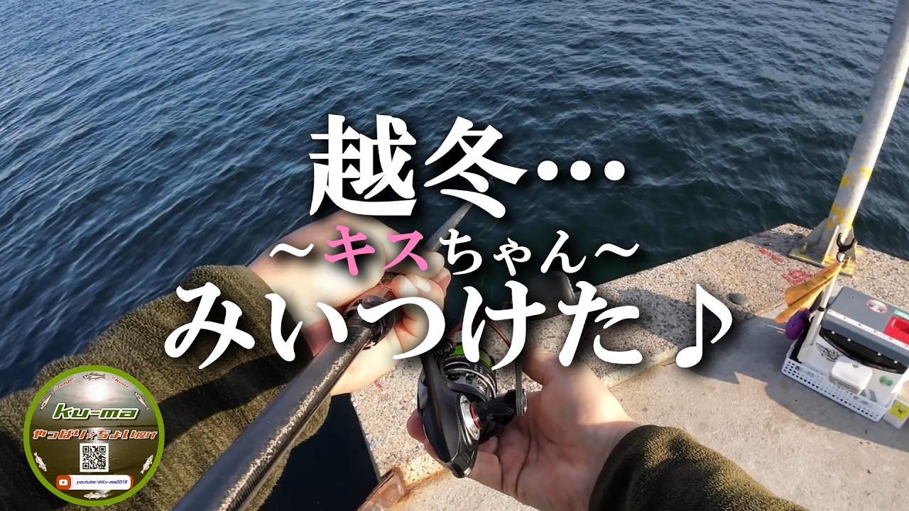 【キス釣り】越冬❕️キスちゃん🙋みいつけた🎵