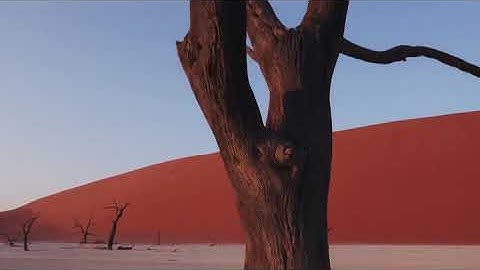 ترجمه تصویری سوره سبا (۳۴)