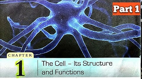 The Cell - its structure and functions Part 1 class 8 DAV science