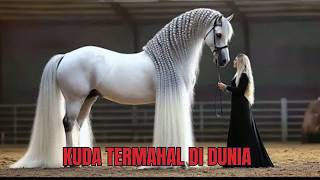 Harga di Luar Nalar! 10 Kuda Termahal dan Tercantik di Dunia Harga di Luar Nalar! 10 Kuda Termahal dan Tercantik di Dunia
