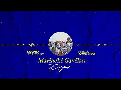 David & Willy Castro Mariachi Gavilan - Dejame (1991)