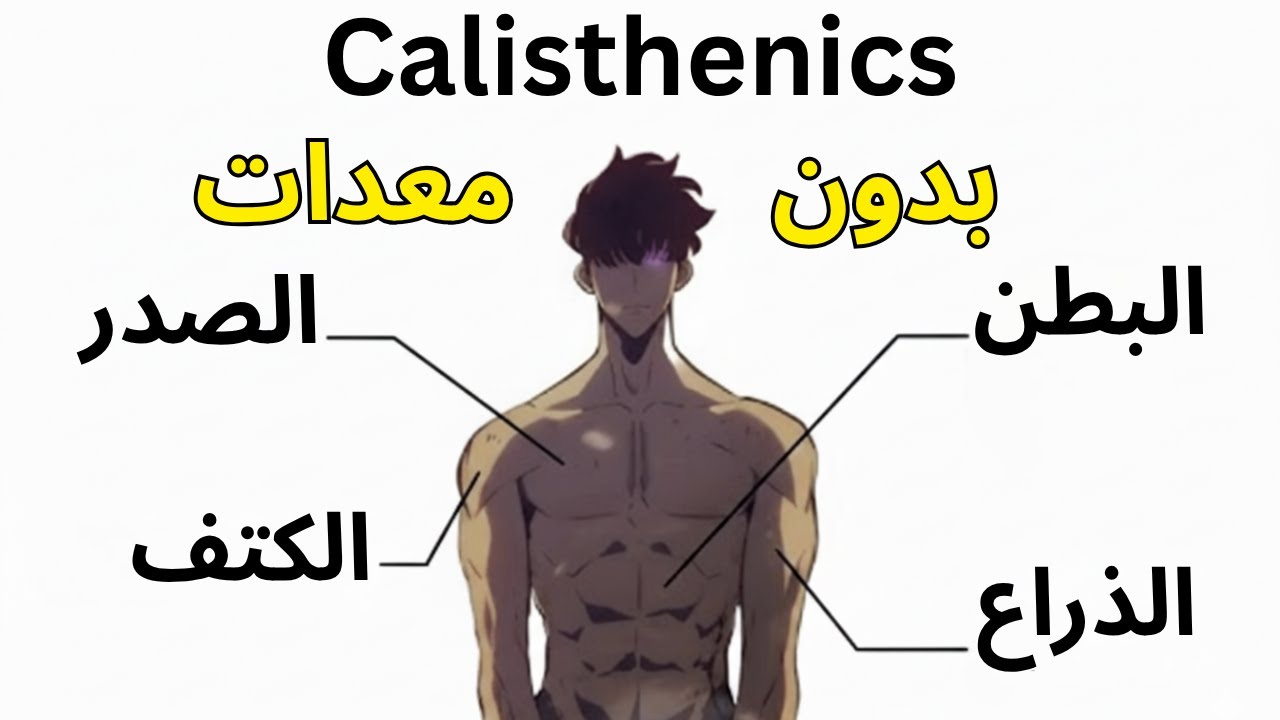 تمارين الكاليستنيكس للمبتدئين | ابدأ بناء جسم قوي في المنزل (بدون معدات)