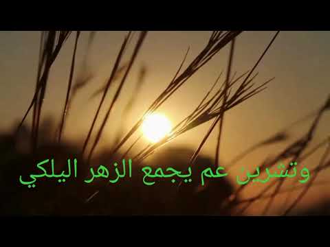 غرب الحسون مع الكلمات