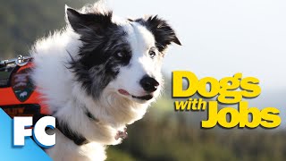 Dogs With Jobs | S2E02 | Popsicle: Drug-Bust Dog | Full Animal Documentary TV Show | FC