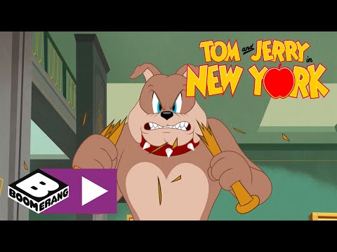 Tom & Jerry | Spike's Teddy Bear | Boomerang UK