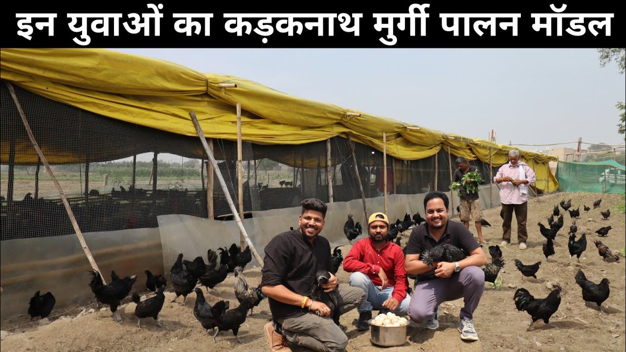 B.tech, MBA करके भी क्यों चुना Desi Murgi Palan | Kadaknath Chicken Farming | Poultry Farming