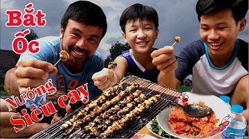 Bắt Ốc Bươu ● Ốc Bươu Vàng Nướng Siêu Cay | Tâm Râu Vlog #33