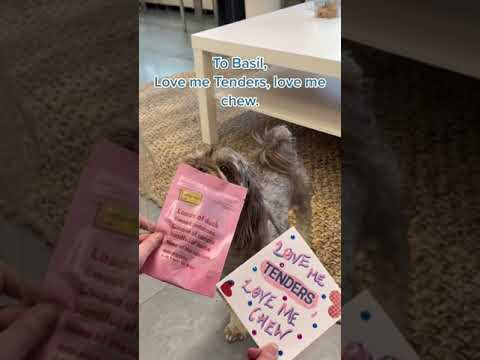 Video: Tyto 28 BarkBox Puppy jsou připraveny na Valentýna