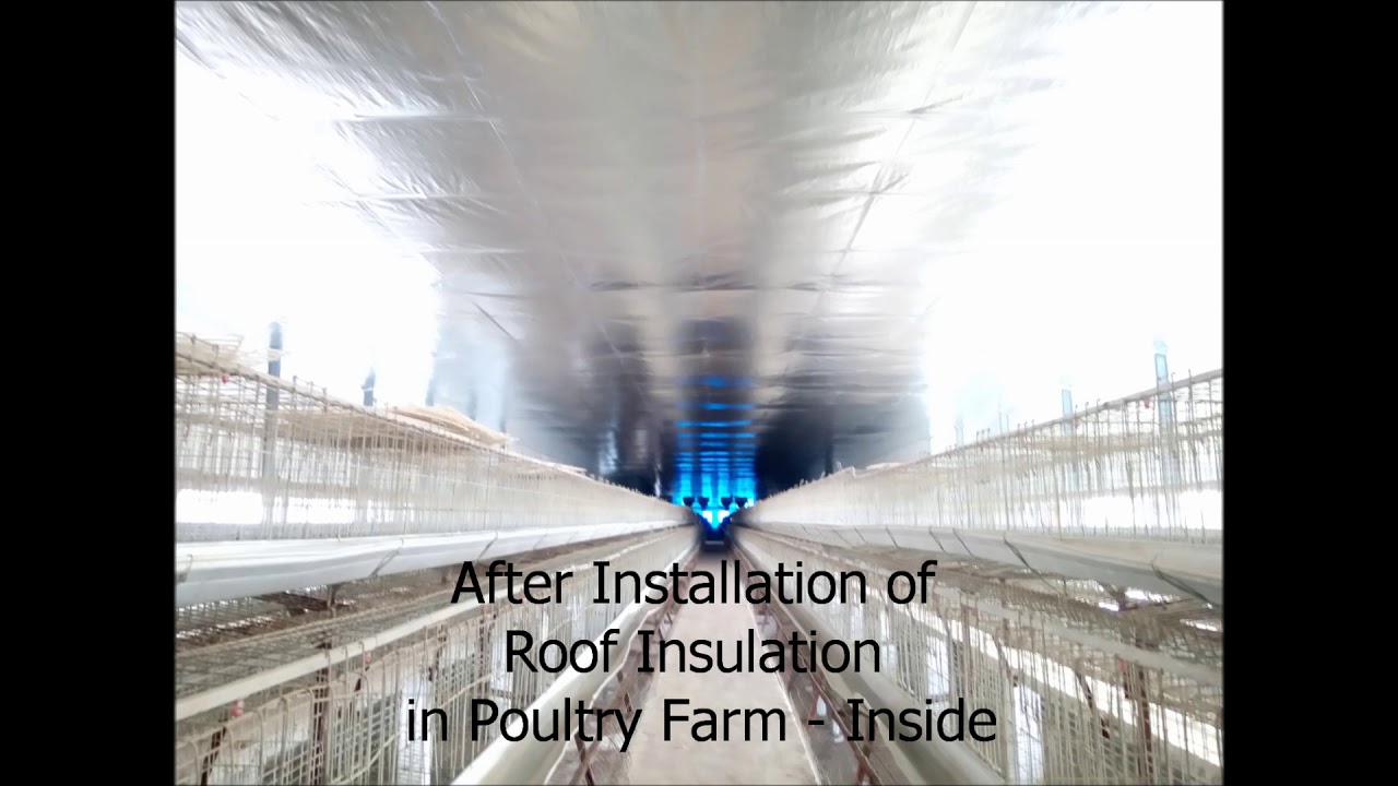 Poultry Farms Insulation YouTube