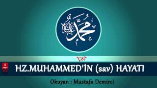 Çöl — Mustafa Demirci kapak görseli