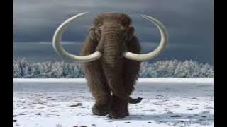 Woolly mammoth sound effect