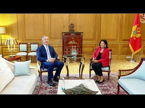 საქართველოს ოფიციალური ვიზიტითი მონტენეგროს პრეზიდენტი ეწვია