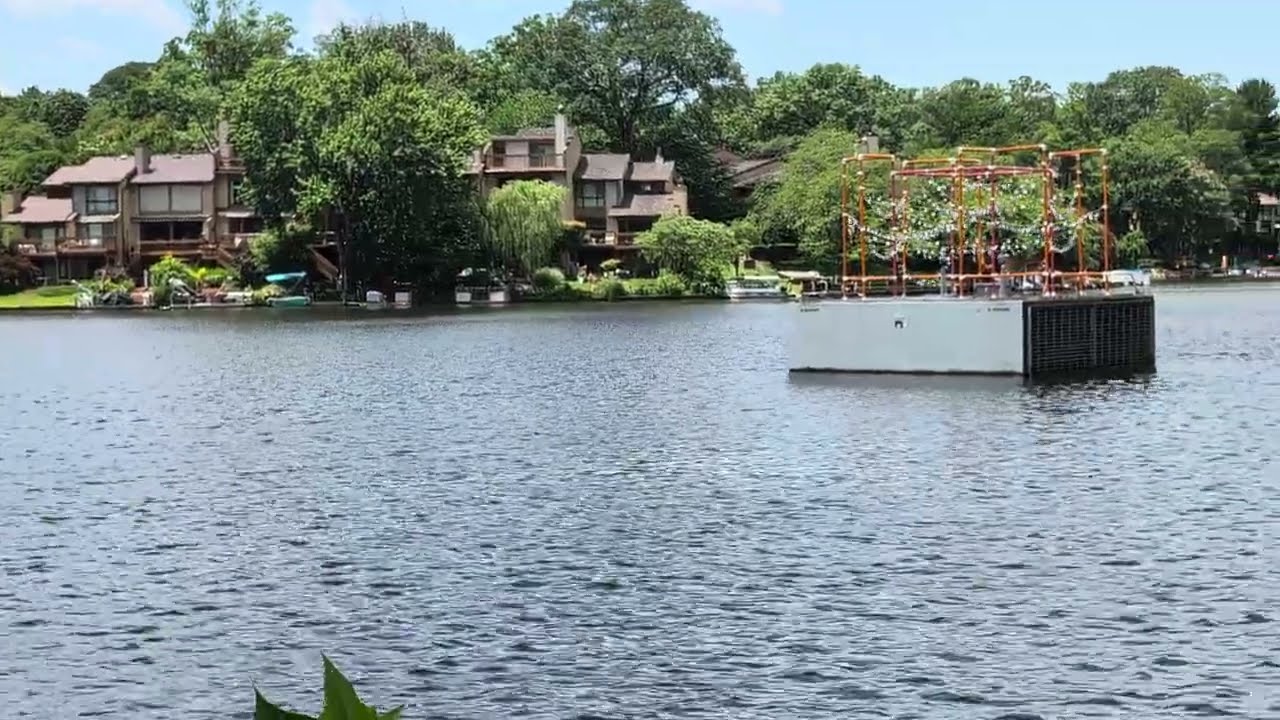 Tranquil June Afternoon at Lake Thoreau | Featuring “Cell-estial” Public Art Installation