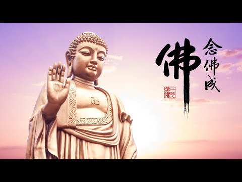 淨空老法師｜念佛成佛｜修清淨心是大根大本