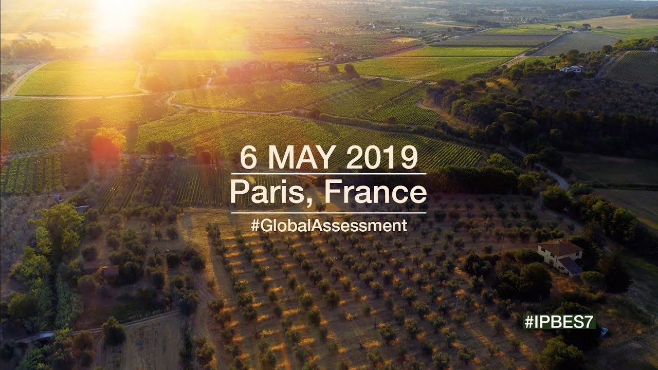 #IPBES7: First Intergovernmental Global Assessment of Biodiversity