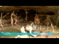 Les grottes du Périgord, temples de la préhistoire