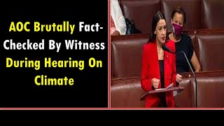 AOC Brutally Fact-Checked By Witness During Hearing On Climate
