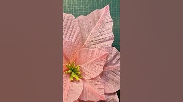 DIY how to make poinsettia crepe paper flower available now! Full tutorial here! #christmas #craft