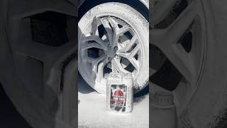 Prokleen Snow Foam  Cherry Fragrance  cardetailingproducts carcleaningproducts asmr pov