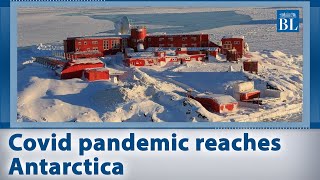 Covid pandemic reaches Antarctica, last untouched continent