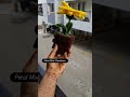 comment for order #customized #flowers #goviral #reelsindia #trendingshorts #trendingvideo #viral