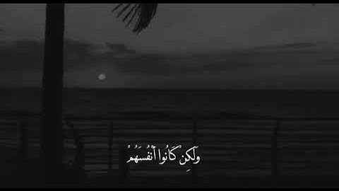 " وماكان الله ليظلمهم ولكن كانوا أنفسهم يظلمون" سورة العنكبوت، القارئ عبدالرحمن مسعد #عبدالرحمن_مسعد