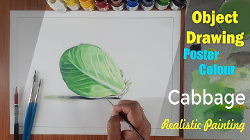 How To Draw Cabbage, वस्तुचित्र कोबी, Object Drawing Cabbage,