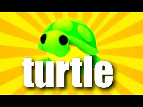 adopt me turtle - YouTube