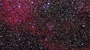 Zooming in on the cometary globule CG4