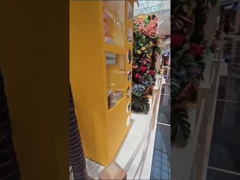 نورين بقولك ايه  