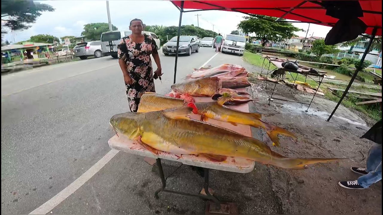 🇬🇾 TOUR OF BEAUTIFUL LEONORA WEST COAST DEMERARA GUYANA GILBACKA