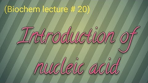 Introduction of nucleic acid