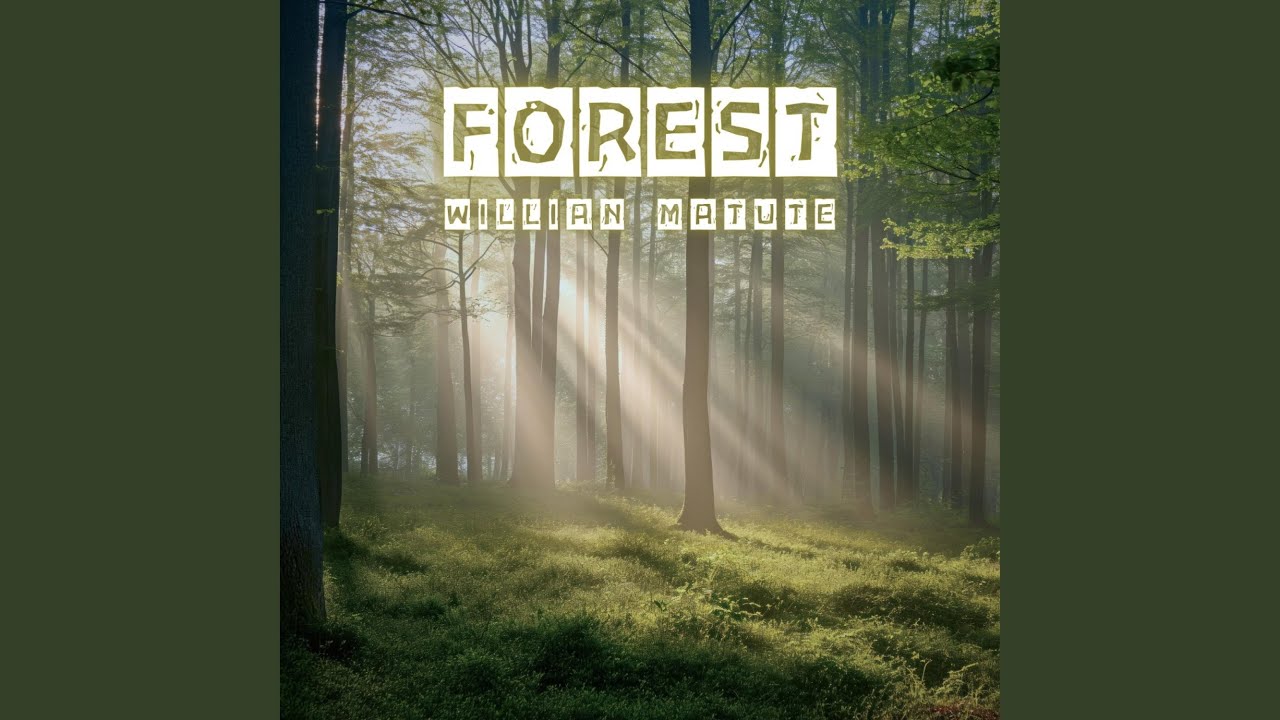 Watch Forest on YouTube Watch Forest on YouTube