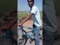 majak video