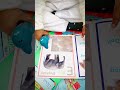 Study with Dolphin leon