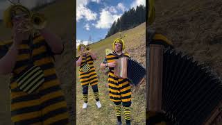 Wildkogel Buam - WB‘s  „Biene Maja“ (Kurzvideo)