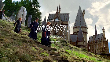 | HOGWARTS STUDIOZ I Harry Potter Forever 💚 Edit #15