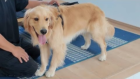 予告【切り抜き】恐怖の経験をして流石にヤバいので・・。