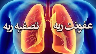 شش نشانه ریه عفونی و آلوده و شش راه تصفیه آن