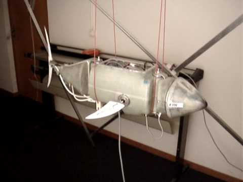 Swimming movement with 0.7 Hz oscillation