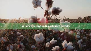 IMPETUS Organic