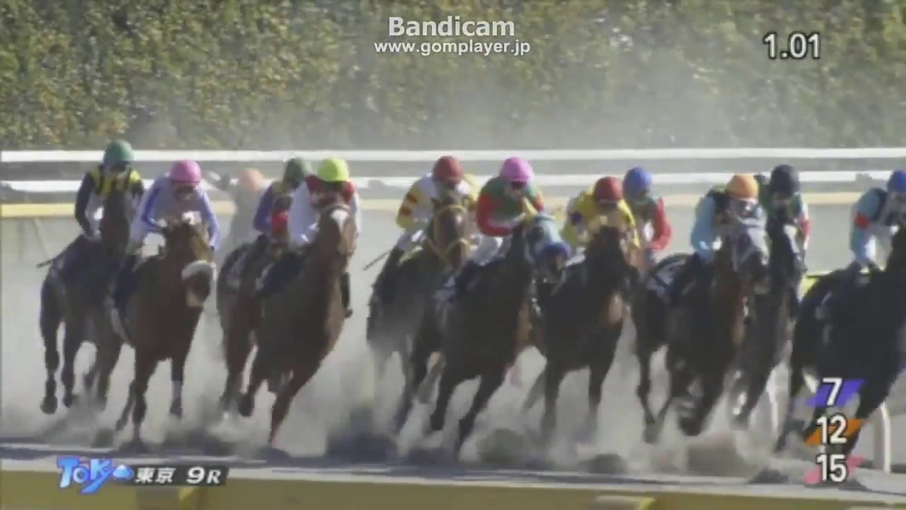 Epicharis (JPN) 2017 Hyacinth Stakes YouTube