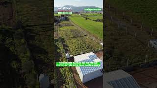 Mendereste Satilik 500 M2 Tapulu 75 M2 Ev Elektri̇k Suyu Olan Hari̇ka Bahçe