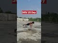 365/25 Day | 30 min full body workout at home #motivation #fitness #gym #workout #fitnessmotivation