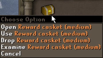 Level 2 Clue Scroll Adventure