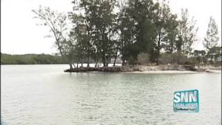 SNN: A restoration project at Snake Island in Venice will soon be underway