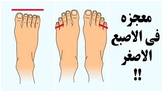 هل تعرف فائدة الإصبع الصغير في قدميك ؟! معلومة أول مرة أعرفها