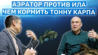 Разговор о Рыбах с Ихтиопатологом. Свой пруд с рыбой: обслуживание и рыбоводство